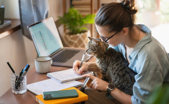 Women doing calculations at her desk with her cat